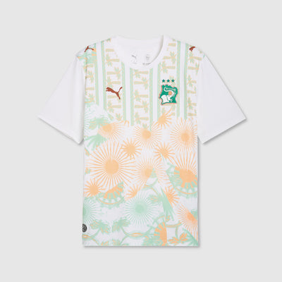 Ivory Coast Away 26/27 Jersey - Fan Version